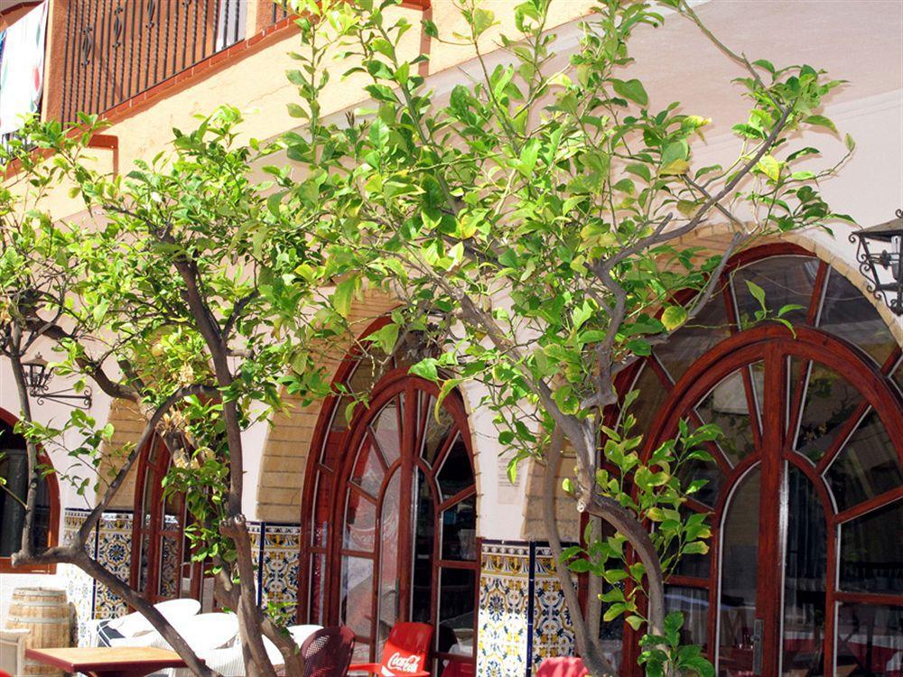 Hotel Comarruga Platja Dış mekan fotoğraf