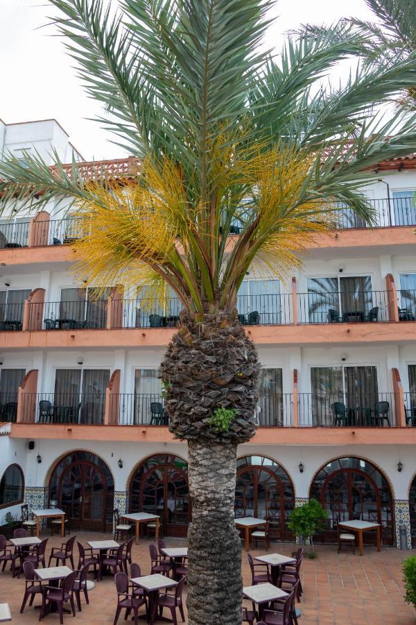 Hotel Comarruga Platja Dış mekan fotoğraf